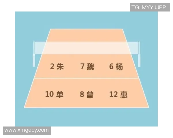 深圳排球队战术表现深度分析与数据解读探讨