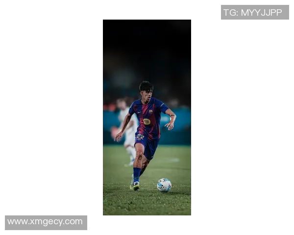 科尔在足球界的地位与成就是否足以称其为明星球员