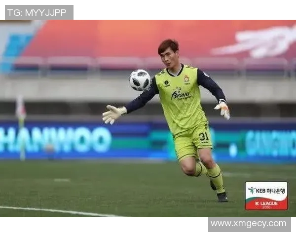 深圳网球队崛起之路：从默默无闻到世界杯舞台的奋斗历程