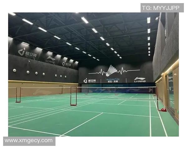 武汉羽毛球队转型之路：从传统强队到现代竞技新标杆的蜕变与挑战