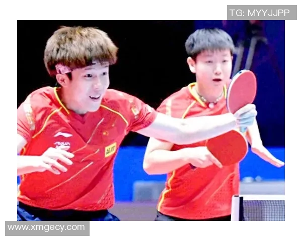 南京乒乓球队在世界杯预选赛中的战术分析与表现评估 南京乒乓球队在世界杯预选赛中的战术分析与表现评估