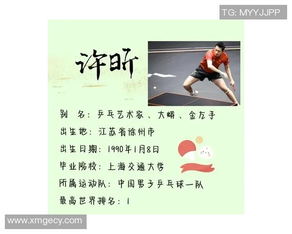 成都乒乓球队挑战赛背后的奋斗故事与荣耀时刻