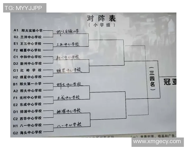 深入分析杭州篮球队的整体压制战术及其在比赛中的应用效果