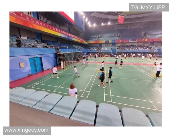 羽毛球节奏排行榜揭晓北京羽毛球队荣获第八名佳绩