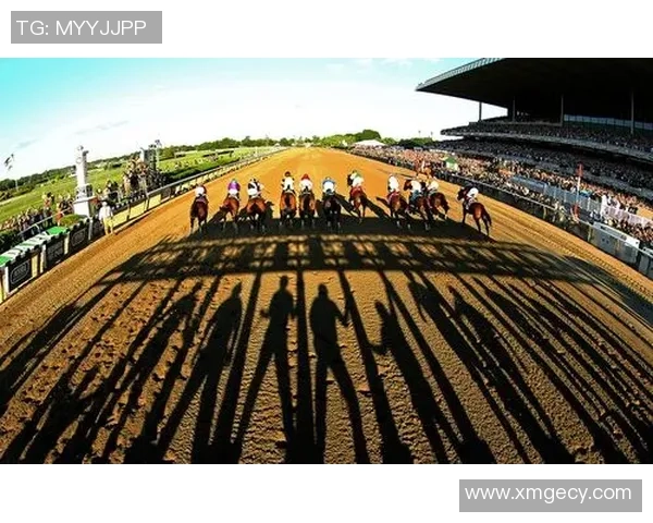 深圳极限运动队荣登全国极限运动战术排行榜第九名的背后故事 深圳极限运动队荣登全国极限运动战术排行榜第九名的背后故事