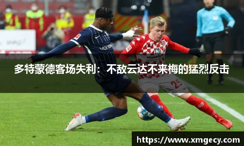 jinnianhui金年会